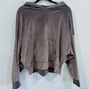 American Eagle Outfitters Velour Sweatshirt